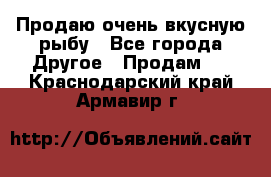 Продаю очень вкусную рыбу - Все города Другое » Продам   . Краснодарский край,Армавир г.